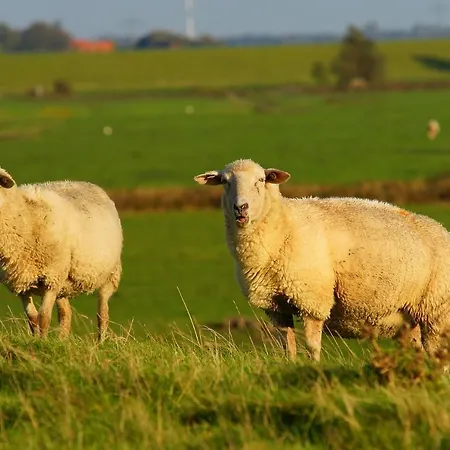 Semesterbostad Huus An`t Dörpsdiek Krummhörn