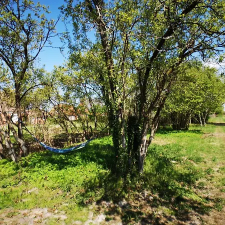 Holiday home Huus An't Doerpsdiek Krummhoern