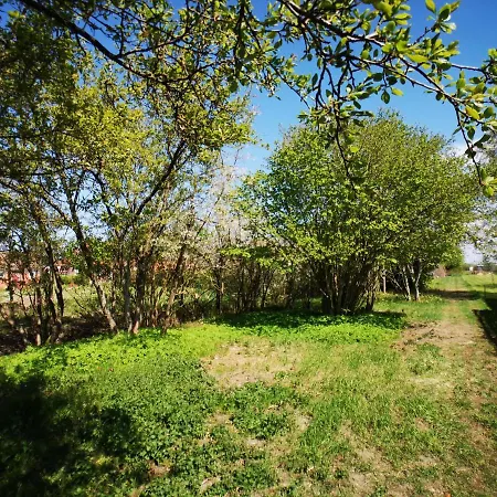 Huus An`t Dörpsdiek Semesterbostad Krummhörn