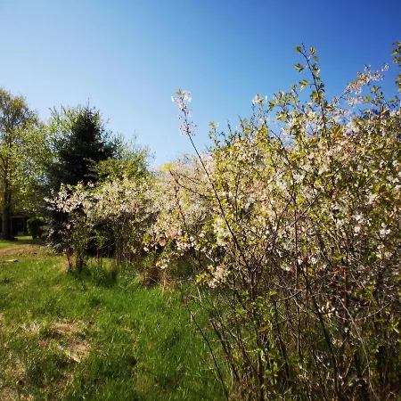 Holiday home Huus An't Doerpsdiek Krummhoern