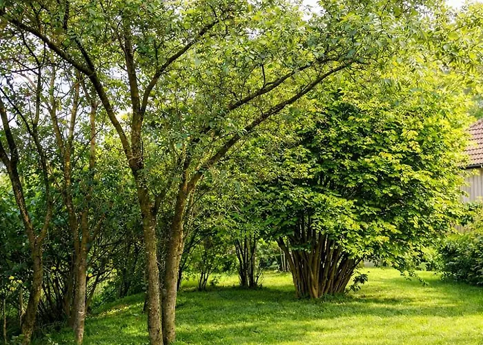 Huus An't Doerpsdiek Krummhörn